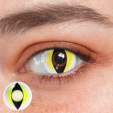 Cosplay Wild Cat Eye Yellow Coloured Contact Lenses