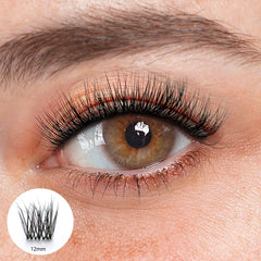 Antonia Black Lashes