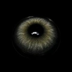 Claudina Sea Gray Colored Contact Lenses
