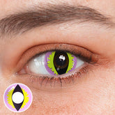 Cosplay Wild Cat Eye Purple Coloured Contact Lenses