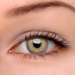 Himalaya Brown Prescription Coloured Contact Lenses