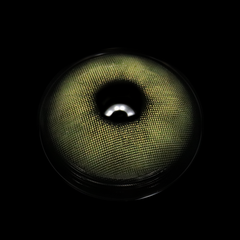 Claudina Oil Green Coloured Contact Lenses