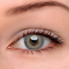 Wildcat Julia Brown Coloured Contact Lenses