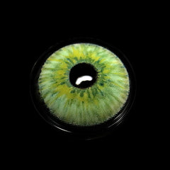 New York Green Coloured Contact Lenses