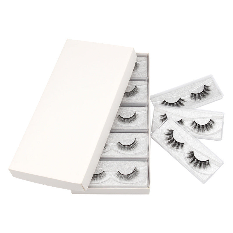 3D  Silver Card Model Mix  10 Piece  Mink Hair Eyelashes