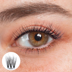 Aline Black Lashes
