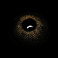 Cassia Black Coloured Contact Lenses