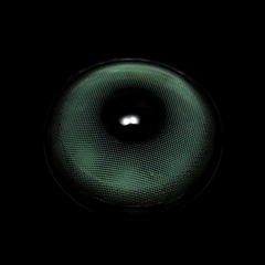 Shae Green Coloured Contact Lenses