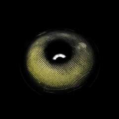 Yari Gray Prescription Coloured Contact Lenses