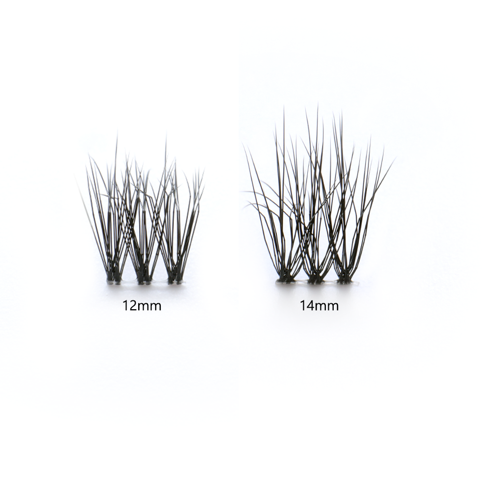 Aline Black Lashes