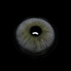 Karla Ash Gray Coloured Contact Lenses