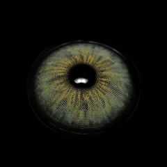 Cyrene Amber Gray Coloured Contact Lenses