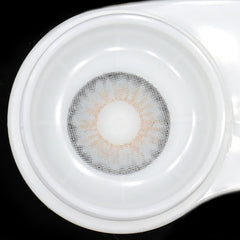 Elida Gray Coloured Contact Lenses