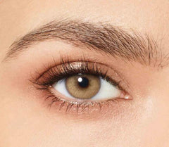 Bassia Brown Coloured Contact Lenses