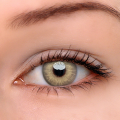 Himalaya Brown Prescription  Coloured Contact Lenses