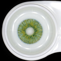 New York Green Coloured Contact Lenses