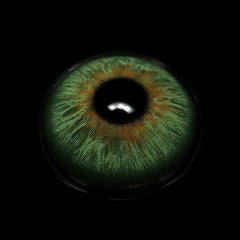 Olivia Green Coloured Contact Lenses